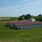 Immagine 6 azienda TENUTA DEL BARONE PENSIONE PER CANI Shopping e acquisti in Fiumicino RM