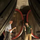 Immagine 1 azienda TENUTA HANS ROTTENSTEINER WEINGUT Negozio di vini in Bolzano