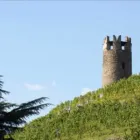 Immagine 4 azienda TENUTA HANS ROTTENSTEINER WEINGUT Negozio di vini in Bolzano
