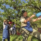 Immagine 5 azienda TENUTA HANS ROTTENSTEINER WEINGUT Negozio di vini in Bolzano