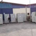 Immagine 3 azienda TERRANOVA FRUIT Shopping e acquisti in Gela CL