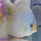 Immagine 3 azienda TERRAQUA Shopping e acquisti in Messina