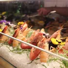 Immagine 5 azienda TERRAZZA CALABRITTO Ristorante in Napoli