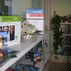Immagine 3 azienda THE ENGLISH CENTRE Centro servizi sociali in Roma