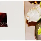 Immagine 6 azienda TIBERIUS RISTORANTE GOURMET & EVENT LOCATION Servizi professionali in Pompei NA
