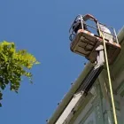 Immagine 1 azienda TIESSE SERVICE SOCIETÀ DI SERVIZI Shopping e acquisti in Milano