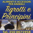 Immagine 7 azienda TIGROTTI E PRINCIPINI Shopping e acquisti in Giarre CT