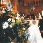 Immagine 1 azienda TINÈ ANGELO FIORI Spedizionieri in Siracusa