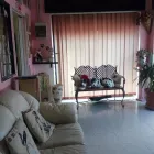 Immagine 2 azienda TOELETTA DOGLANDIA Servizi professionali in Civitavecchia RM