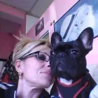 Immagine 4 azienda TOELETTA DOGLANDIA Servizi professionali in Civitavecchia RM