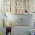 Immagine 6 azienda TOELETTA DOGLANDIA Servizi professionali in Civitavecchia RM