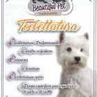 Immagine 3 azienda TOELETTATURA BEAUTIFUL PET Servizi professionali in Ardea RM