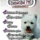 Immagine 7 azienda TOELETTATURA BEAUTIFUL PET Servizi professionali in Ardea RM