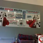 Immagine 1 azienda TOELETTATURA DIRTY DOG Servizi professionali in Varese