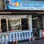 Immagine 1 azienda TOELETTATURA DOLCE BAGNETTO Servizi professionali in Catania