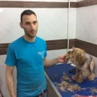 Immagine 5 azienda TOELETTATURA DOLCE BAGNETTO Servizi professionali in Catania