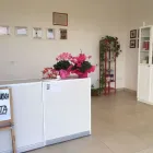 Immagine 5 azienda TOELETTATURA MASSIGNANI Toelettatura di animali domestici in Caldogno VI