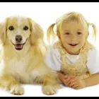 Immagine 3 azienda TOELETTATURA MONDO CANE Toelettatura di animali domestici in Bologna