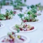 Immagine 1 azienda TOMATOPIU' Shopping e acquisti in Borgosatollo BS