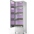 Immagine 4 azienda TOMATOPIU' Shopping e acquisti in Borgosatollo BS