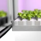 Immagine 8 azienda TOMATOPIU' Shopping e acquisti in Borgosatollo BS