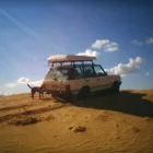 Immagine 4 azienda TONI PEDERZINI OFFICINA Veicoli in Casalecchio Di Reno BO