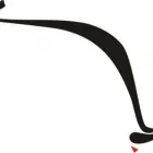 Immagine 2 azienda TORO GIUSEPPE Shopping e acquisti in Pescara