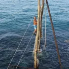 Immagine 3 azienda TRABOCCO PUNTA ISOLATA Ristorante in Rocca San Giovanni CH
