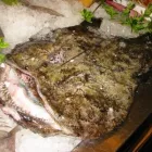 Immagine 32 azienda TRATTORIA AI DUE ORSI Viaggi e turismo in Milano