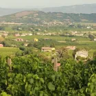 Immagine 4 azienda TRATTORIA DA BERTO Tavola calda in Vo' PD