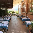 Immagine 6 azienda TRATTORIA DA BERTO Tavola calda in Vo' PD