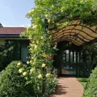 Immagine 3 azienda TRATTORIA DA OSCAR Ristorante in Lonato Del Garda BS