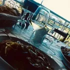 Immagine 5 azienda TRATTORIA LA TERRAZZA DI DONNA FORTUNA Tavola calda in Pozzuoli NA