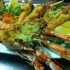 Immagine 1 azienda TRATTORIA PIZZERIA LO SFIZIO Tavola calda in Monte Argentario
