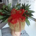 Immagine 1 azienda TROPICAL FLOWER Shopping e acquisti in Samarate VA