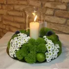 Immagine 6 azienda TROPICAL FLOWER Shopping e acquisti in Samarate VA