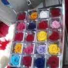 Immagine 7 azienda TROPICAL FLOWER Shopping e acquisti in Samarate VA