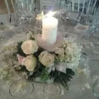 Immagine 5 azienda TROPICAL GARDEN Shopping e acquisti in Prato
