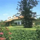 Immagine 1 azienda TURIN GARDEN Vivaio in Torino