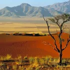 Immagine 1 azienda TURISALFA VIAGGI Viaggi e turismo in Parma