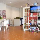 Immagine 7 azienda TURISALFA VIAGGI Viaggi e turismo in Parma