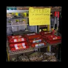 Immagine 3 azienda TUTTO PER L'AGRICOLTURA SAS Shopping e acquisti in Rivazzurra RN