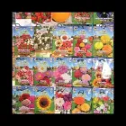 Immagine 4 azienda TUTTO PER L'AGRICOLTURA SAS Shopping e acquisti in Rivazzurra RN