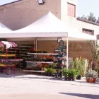 Immagine 1 azienda TUTTO PER L'AGRICOLTURA Vivaio in Rosolini SR