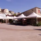 Immagine 3 azienda TUTTO PER L'AGRICOLTURA Vivaio in Rosolini SR