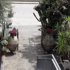 Immagine 4 azienda ULETTA RISTORANTE PIZZERIA Viaggi e turismo in Capo D'orlando ME