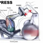 Immagine 3 azienda ULTIMATE FITNESS 2.0 Sport e tempo libero in Taranto