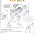 Immagine 6 azienda ULTIMATE FITNESS 2.0 Sport e tempo libero in Taranto