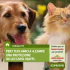 Immagine 1 azienda UNIPOL - ASSICURAZIONI CACCIA Servizi legali e finanziari in Busto Arsizio VA