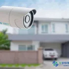 Immagine 4 azienda V SYSTEMS RENT Veicoli in Alpignano TO